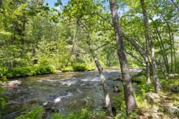 Shoreline Solace - Waterfront! Close to Acadia!