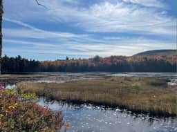 Cabin on Noyes Pond  · Rustic and Stylish Cabin on Stunning Sere