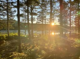Cabin on Noyes Pond  · Rustic and Stylish Cabin on Stunning Sere