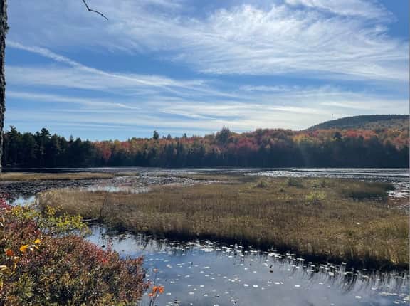 Cabin on Noyes Pond  · Rustic and Stylish Cabin on Stunning Sere
