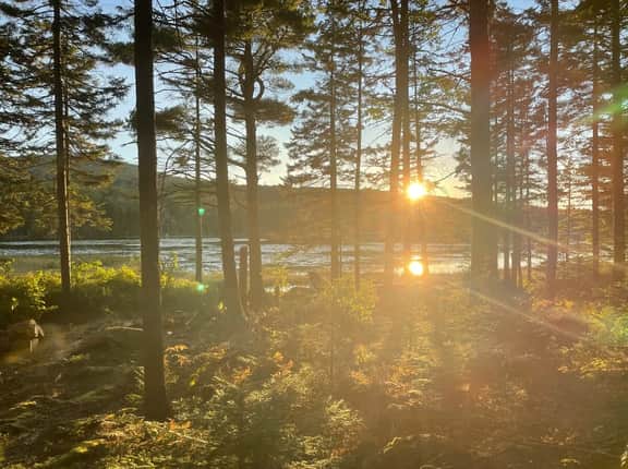Cabin on Noyes Pond  · Rustic and Stylish Cabin on Stunning Sere